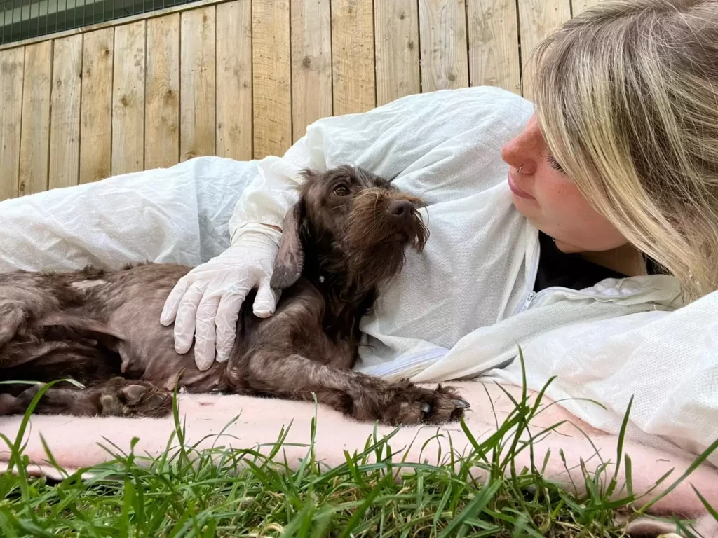 volunteer with the last dog rescued in serious condition 