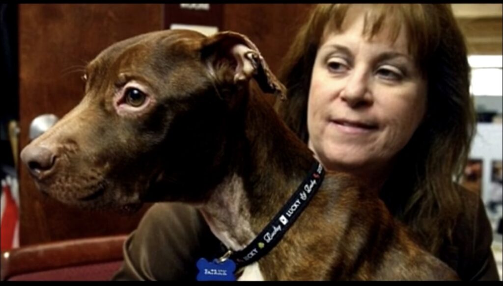 Dog who finally found his family after being sick.