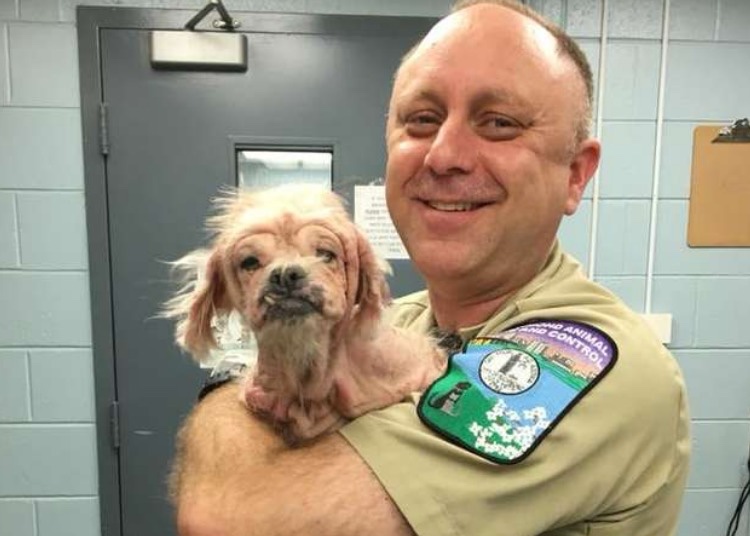 Rescued dog being safe and sound in shelter volunteer’s arms