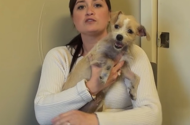 Dog has been adopted by someone and now she can live a good life.