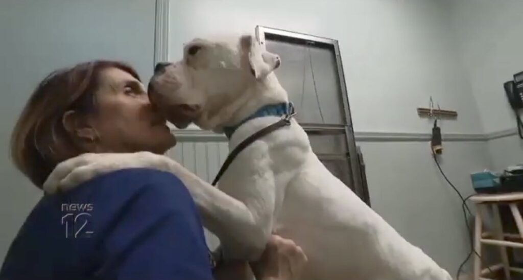 Rescued dog being friendly with the vet