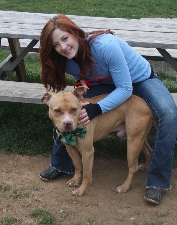 Dog was settled aside and the family didn’t adopt him at the shelter.