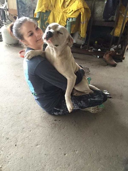 Stray dog used to sleep in the strees until someone saw him and decided to rescue it.