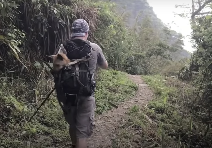 Two rescuers went to save an abandoned puppy on the mountain.