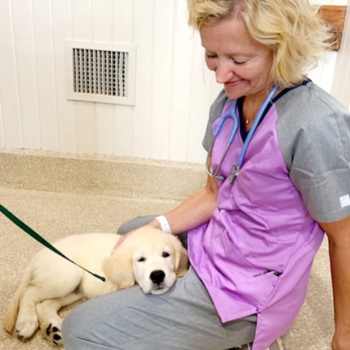 Little dog was found after 12 years of being lost all alone.