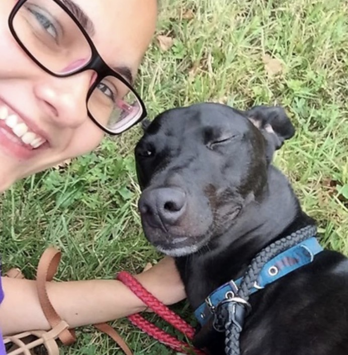 Beauty dog is waiting for someone to adopt him