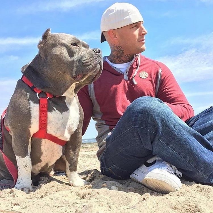 Two dogs gets without water in the desert 