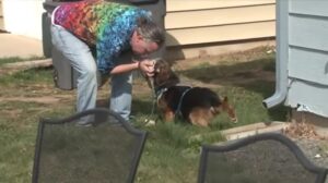 Dog reunions with his owner after two years 