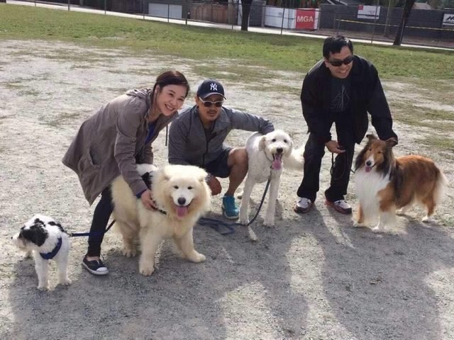 Dog adopted with his new family 