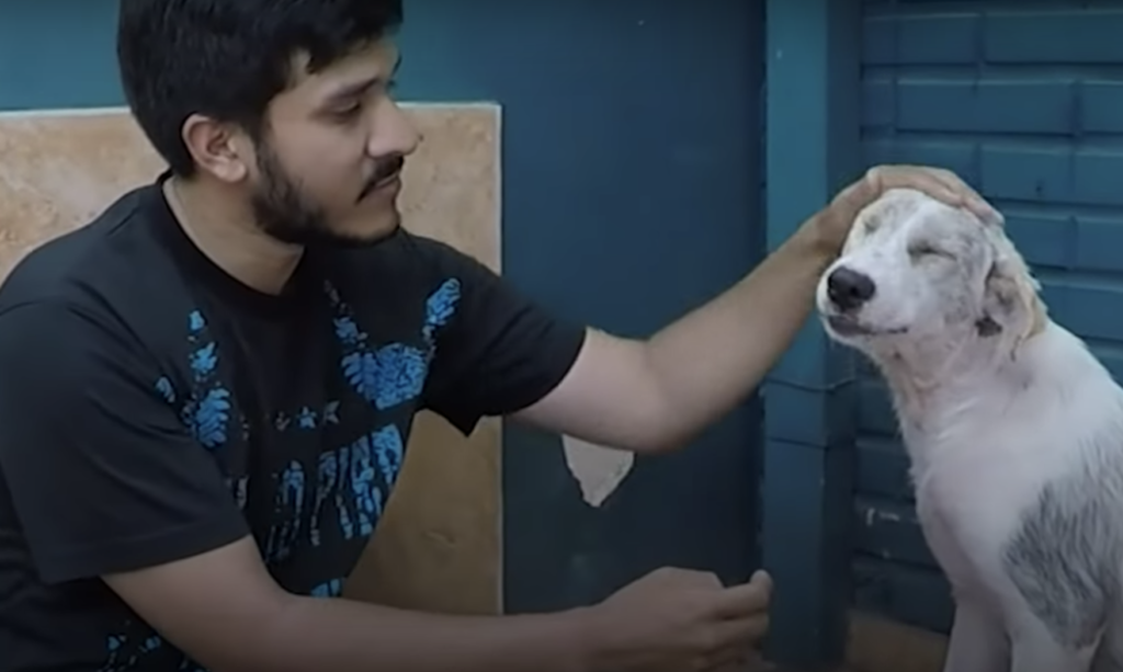 Dog waiting for adoption with his rescuer