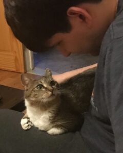 Cat is happy with his owner and her new home