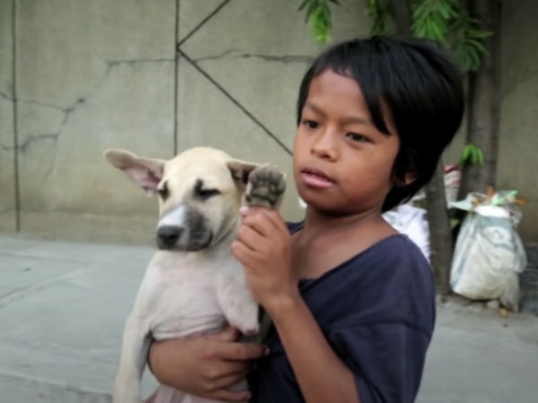 Stray dog gets kept by a stray little boy 