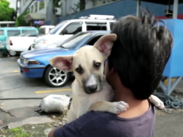 Little boy was thrown at the streets 