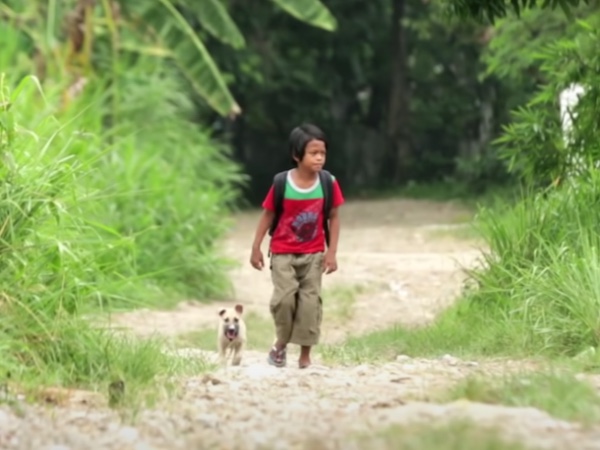 Stray dog and little boy are becoming friends together 