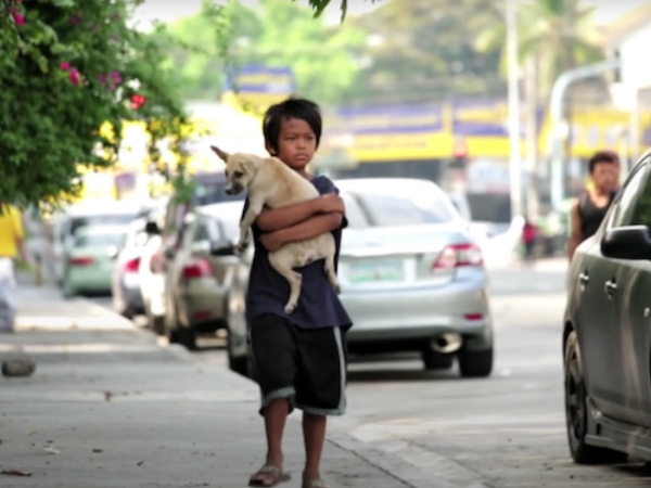 Little stray bog even in difficult situation kept taking care of a stray dog