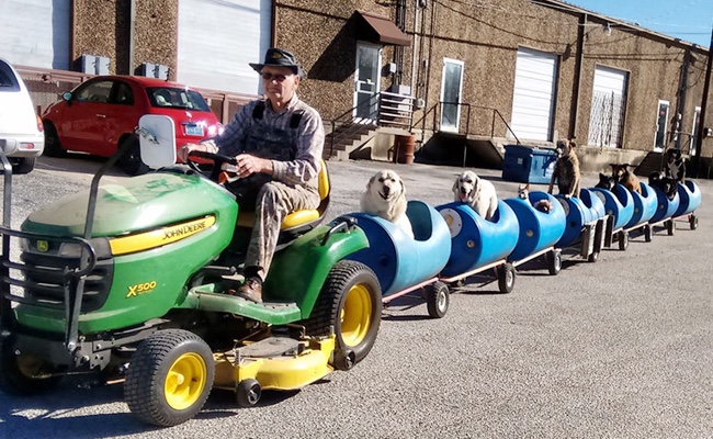 80 years old man takes stray dogs at his train for an adventure 