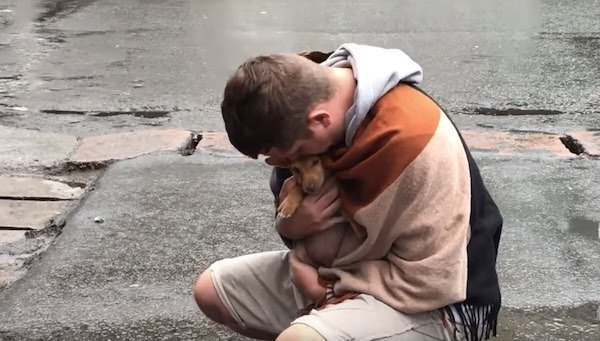 Stray puppy wants to be loved from everyone that passes away 