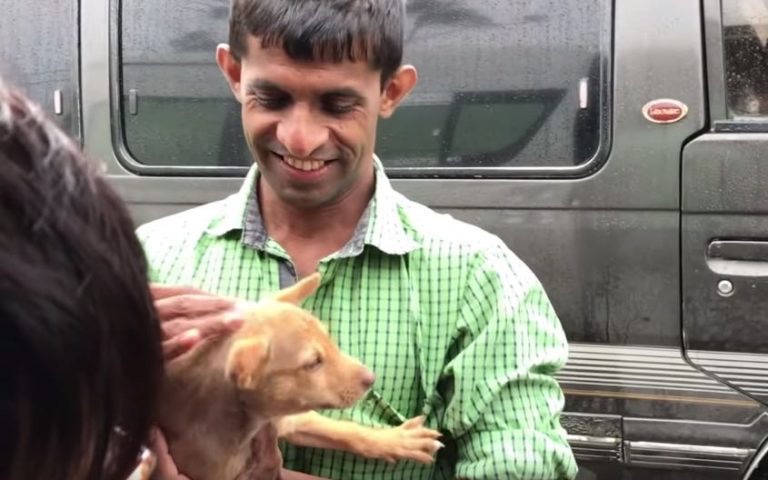 Stray little dog getting love from people that walks by 