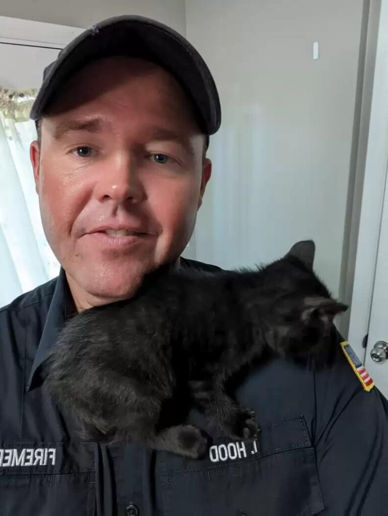 Rescued kitten feeling safe at firefighter’s shoulder