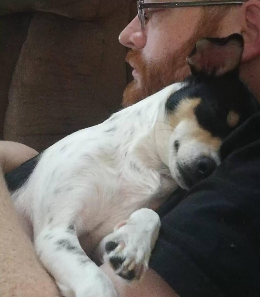 Adopted dog feeling safe in her new owner’s arms