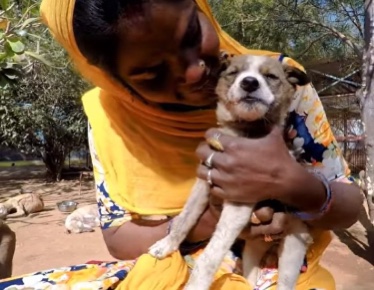 Recued dog being loved and cares