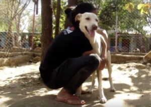 Rescue dog surrounded by love and care