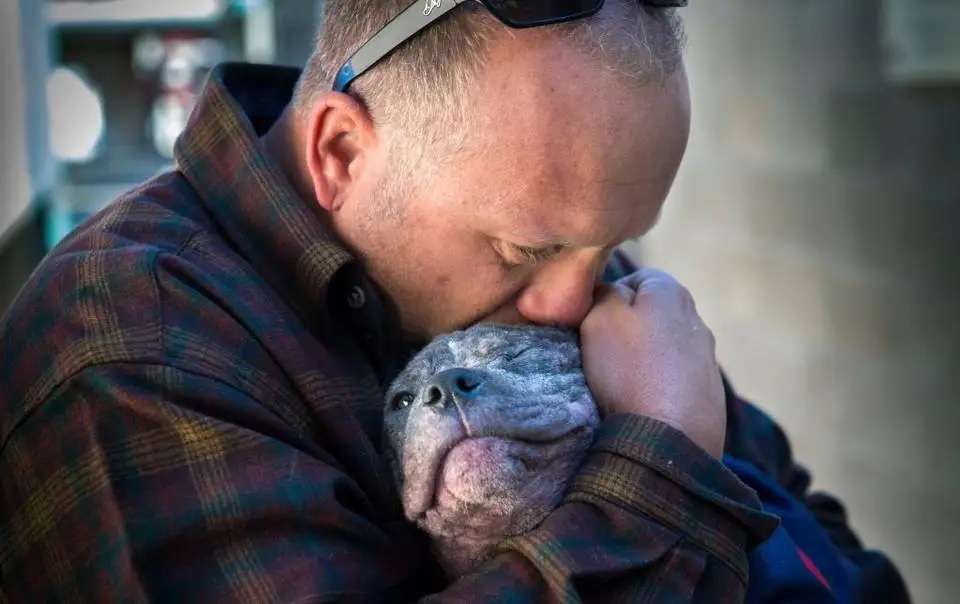 Adopted dog with his owner 