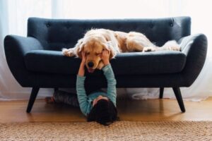 Dog playing with children 