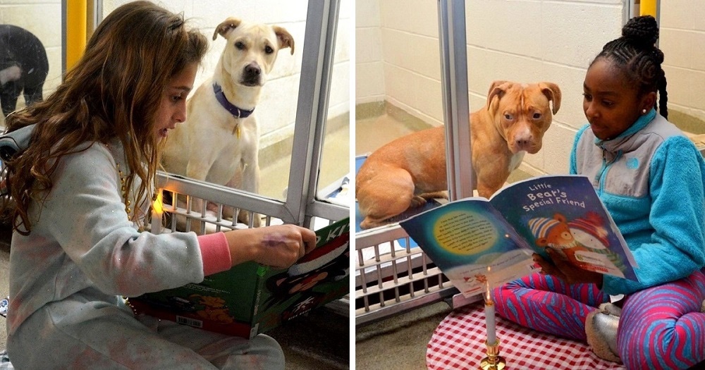 Kids reading story for shelter dogs 