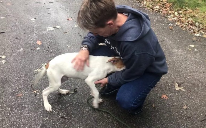 Abused dog from dog fighting feels glad that all that nightmare ended and is now safe in his rescuer’s arms