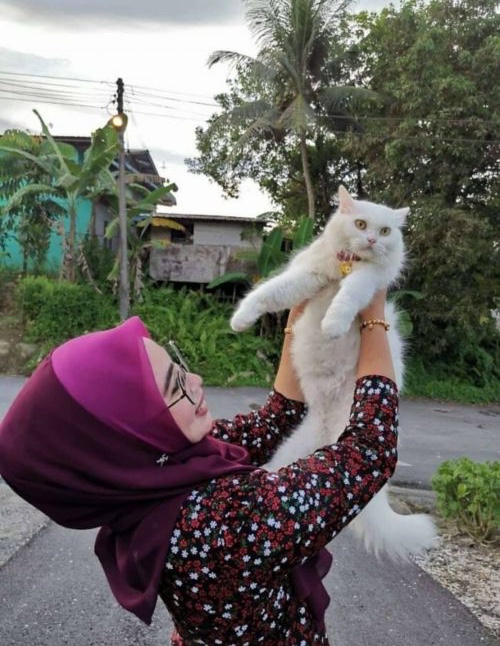 Fully recovered cat with her owner who loves and adores her