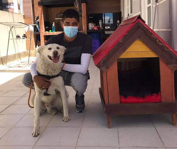 Rescued dog and adopted by a football player 