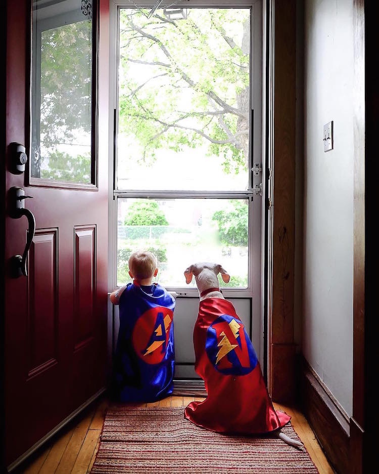 Frightened dog and a baby becomes friends 