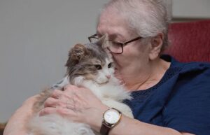 Owner doesn’t want to leave her sick cat die