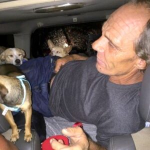 Stray man that saves dogs, got help from am organization 