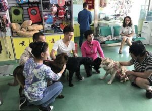 Shelter rescued a ton of dogs