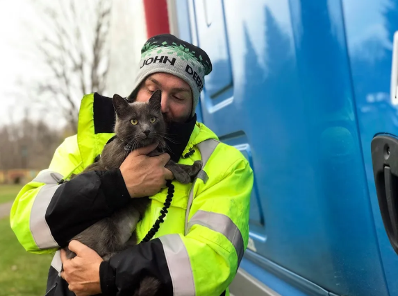 Cat reunion after she’s being lost for 6 months with her owner 