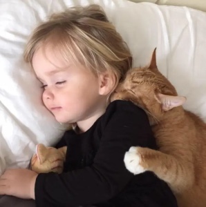 Rescued cat sleeps with a girl