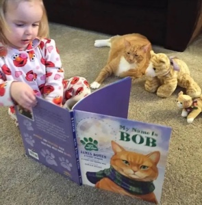 Adopted cat reading books