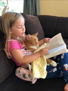 Cat reading with her human friend