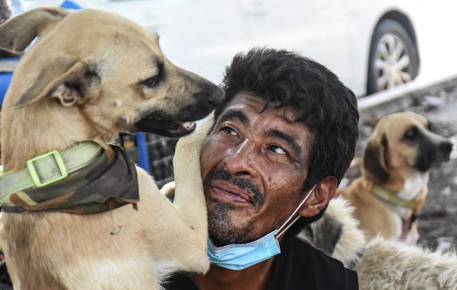 Homeless man rescues homeless dogs