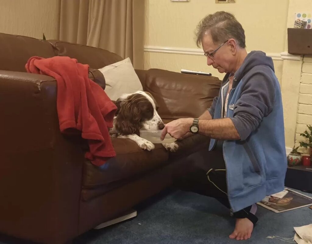 Dog being treated by his new owners 