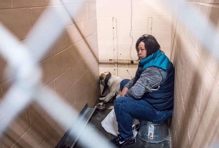 Dog at the shelter with one of the volunteers that saved him 