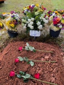 Dog at owner’s grave 