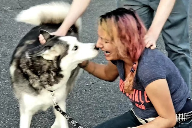 Finally A Woman Who Lost Her Dog Because Of Her Illness Found Him, She ...