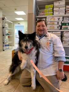 Dog and vet