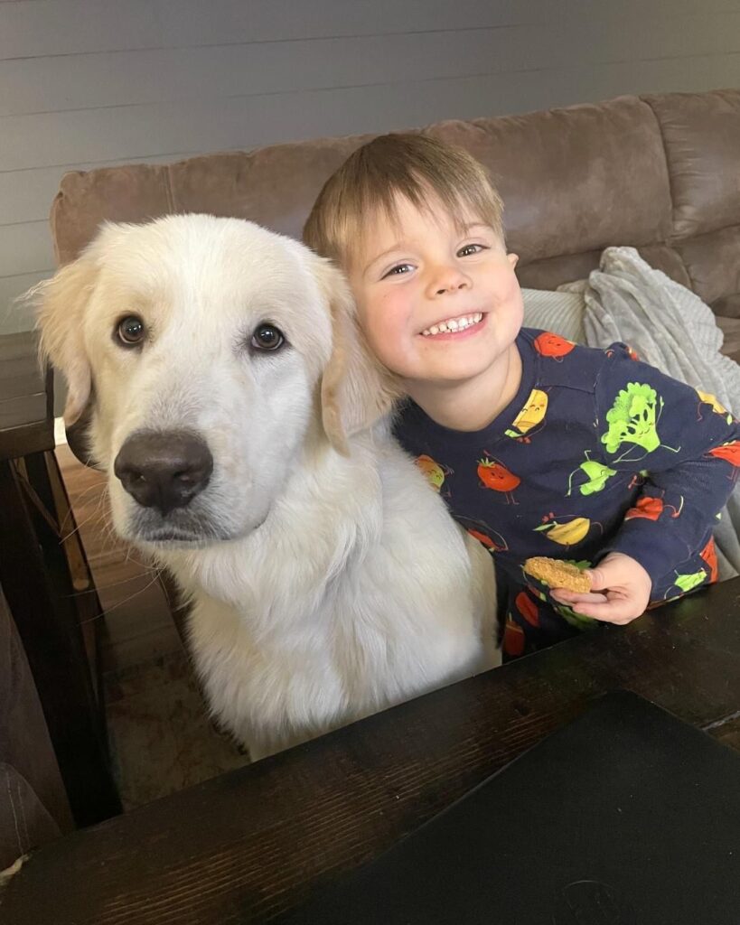 Dog and little boy 