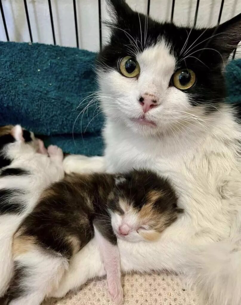 Mum and daughter 