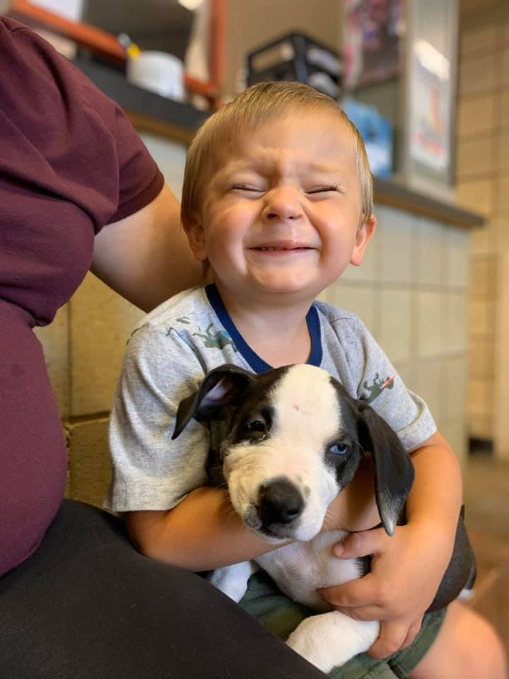 Sick boy and dog