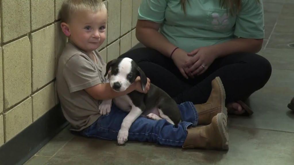 Boy and puppy 